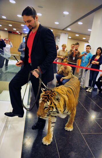 Conference on joint project of Zapashny and Safronovs' brothers