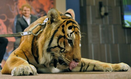 Conference on joint project of Zapashny and Safronovs' brothers