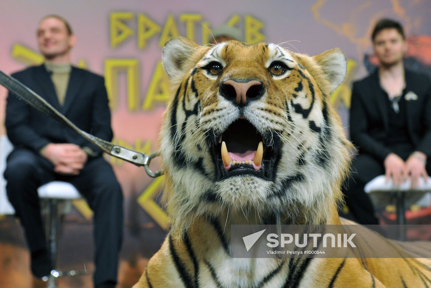 Conference on joint project of Zapashny and Safronovs' brothers