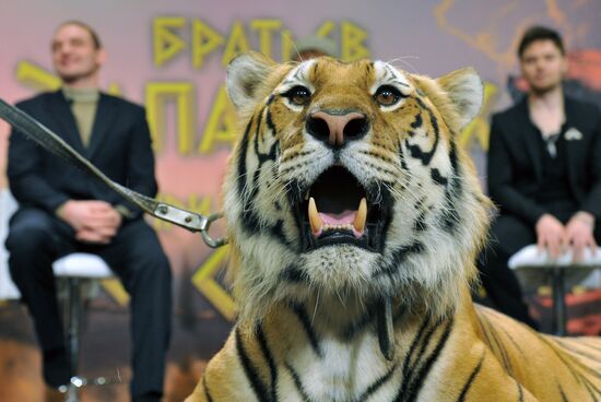 Conference on joint project of Zapashny and Safronovs' brothers