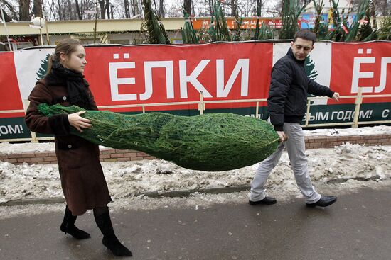 Fir-tree markets in Moscow