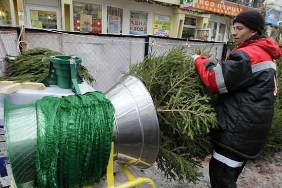 Fir-tree markets in Moscow
