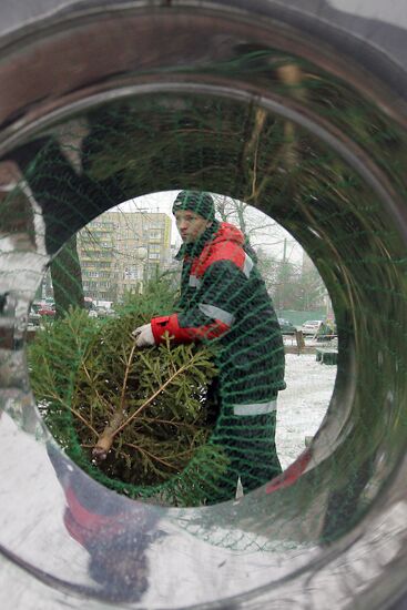 Fir-tree markets in Moscow