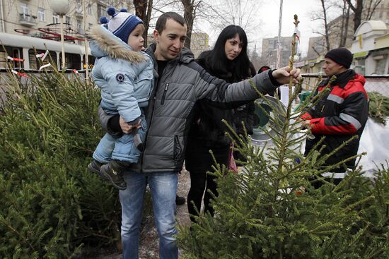 Fir-tree markets in Moscow