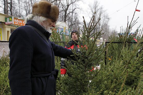 Fir-tree markets in Moscow