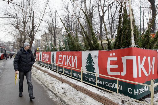 Fir-tree markets in Moscow