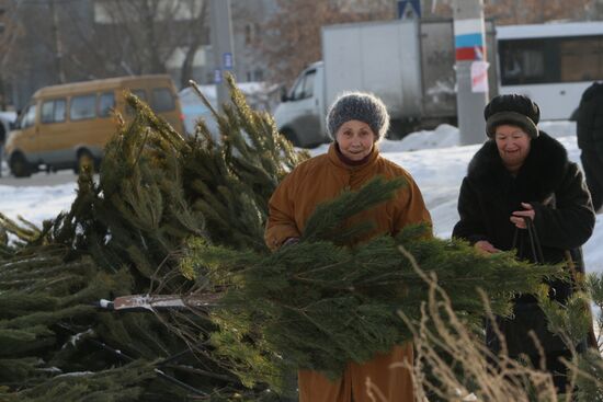 Christmas tree market in Omsk