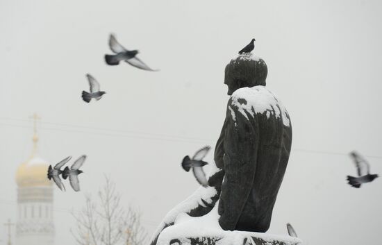 Snowfall in Moscow
