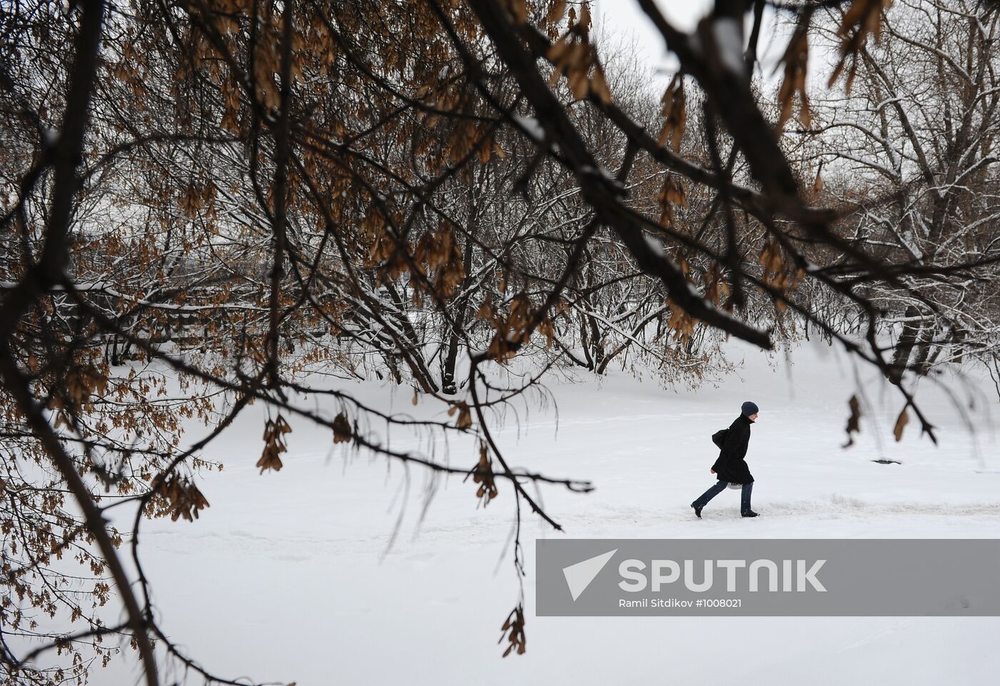 Snowfall in Moscow