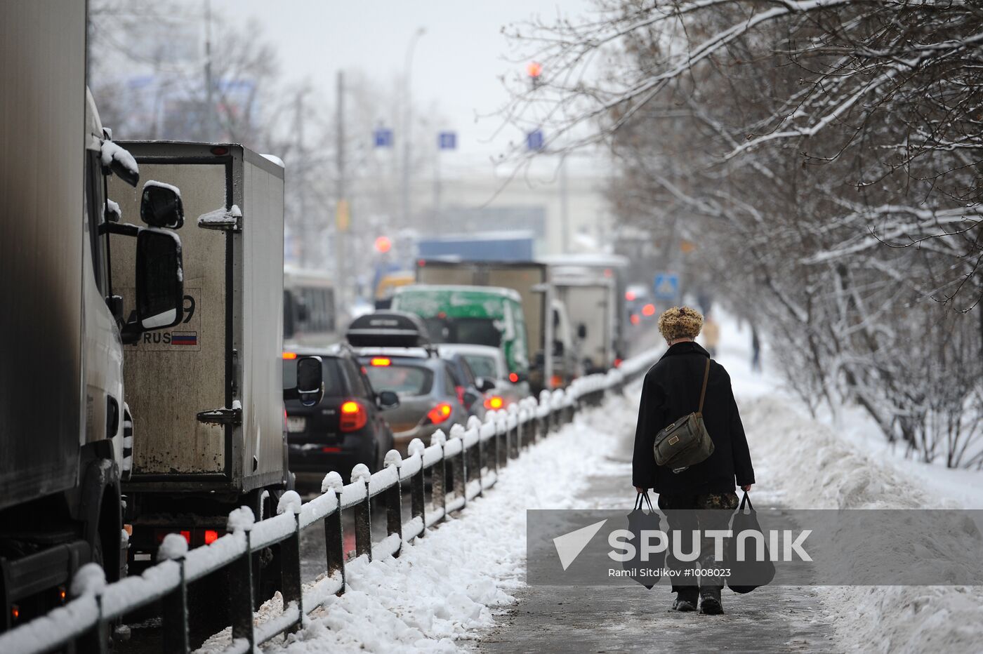 Snowfall in Moscow