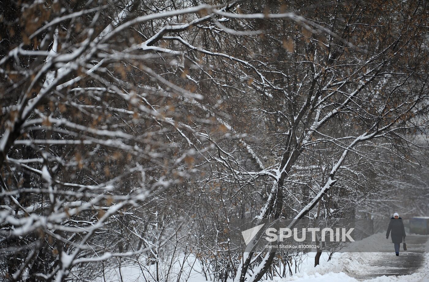 Snowfall in Moscow