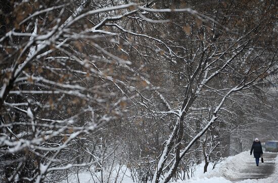 Snowfall in Moscow