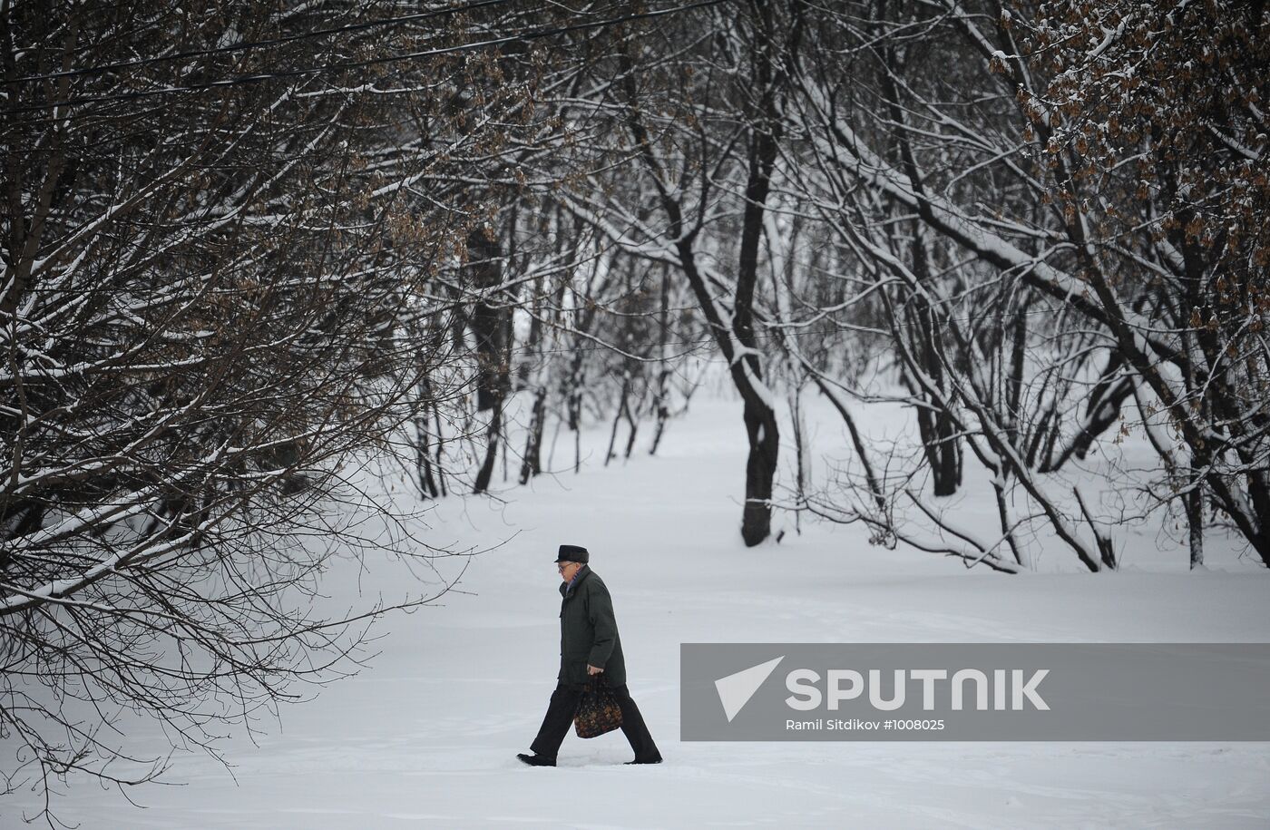Snowfall in Moscow