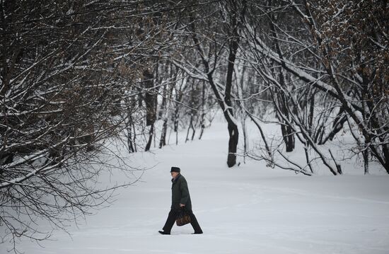 Snowfall in Moscow