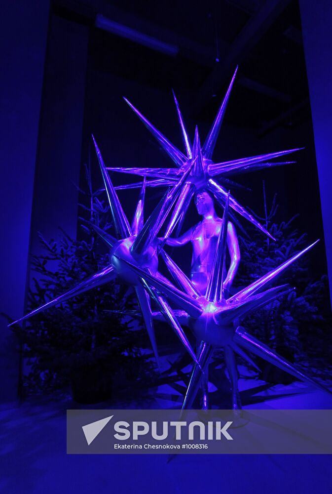 Cold and Beauty: The Snow Queen 55th anniversary exhibition