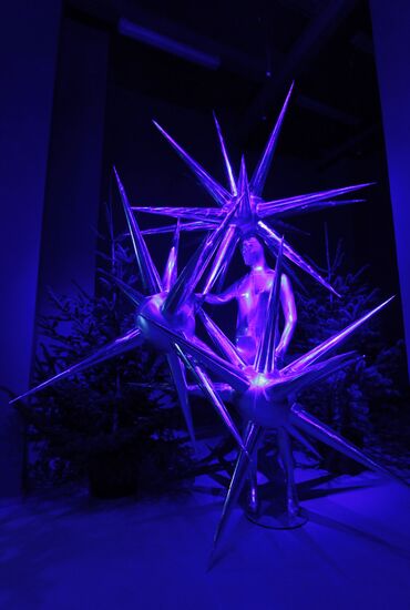 Cold and Beauty: The Snow Queen 55th anniversary exhibition