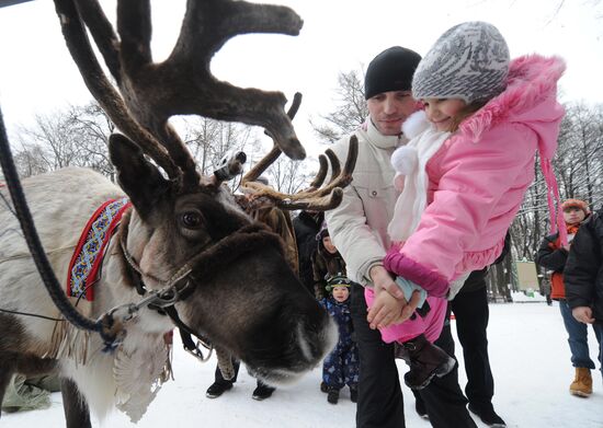 Best Yakut reindeer