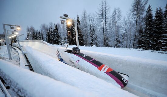Bobsleigh and Skeleton World Cup. Fourth Round. Training
