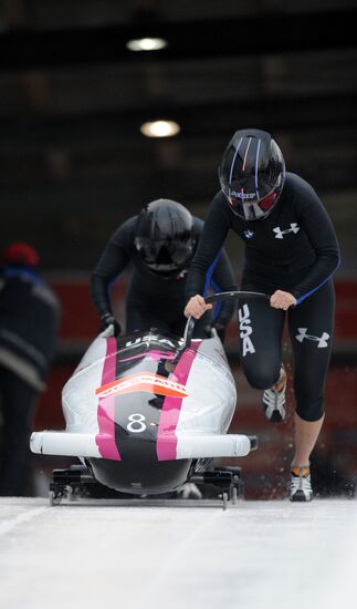 Bobsleigh. World Cup. Fourth Round. Two Women Bobs