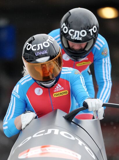 Bobsleigh. World Cup. Fourth Round. Two Women Bobs