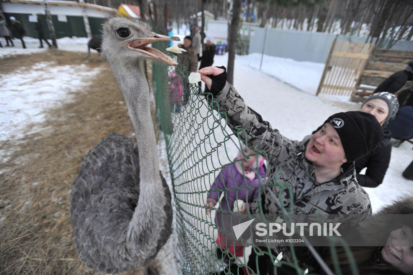 Yekaterinburg residents enjoy winter holidays in Mayakovsky park
