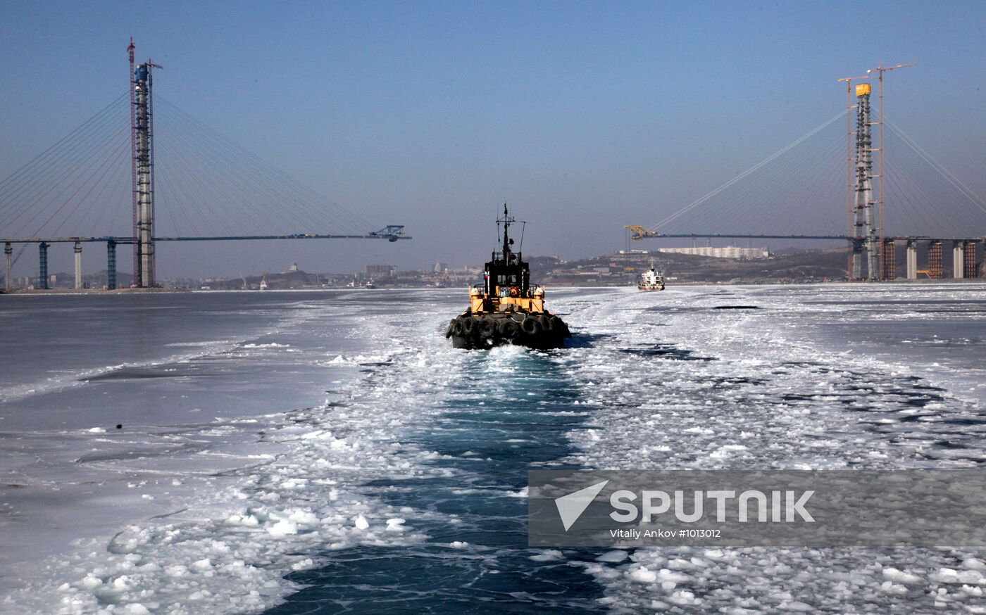 Construction of cable-stayed bridge to Russky Island