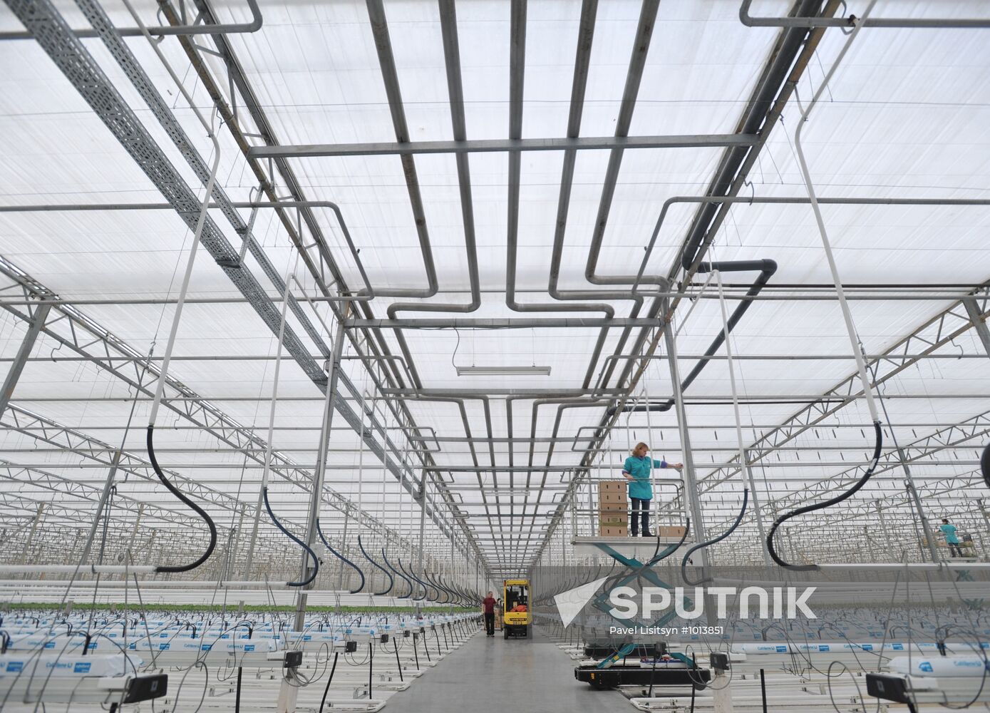 Teplichnoye factory farm in Sverdlovsk Region in operation