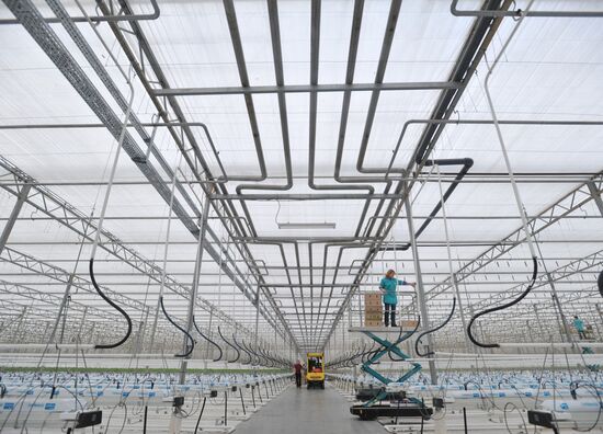 Teplichnoye factory farm in Sverdlovsk Region in operation