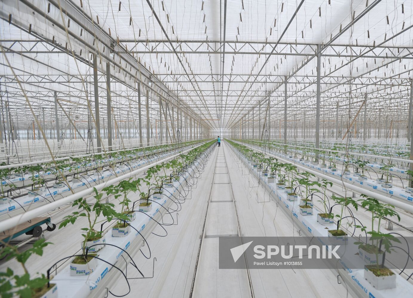 Teplichnoye factory farm in Sverdlovsk Region in operation