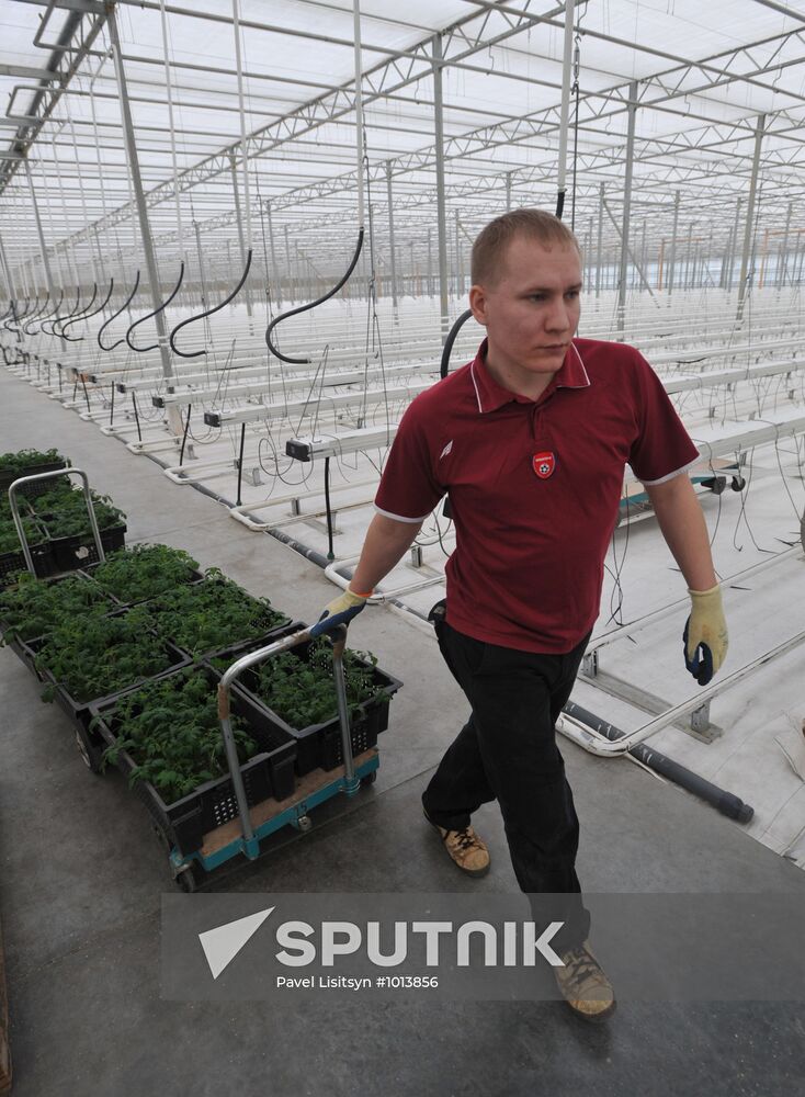 Teplichnoye factory farm in Sverdlovsk Region in operation