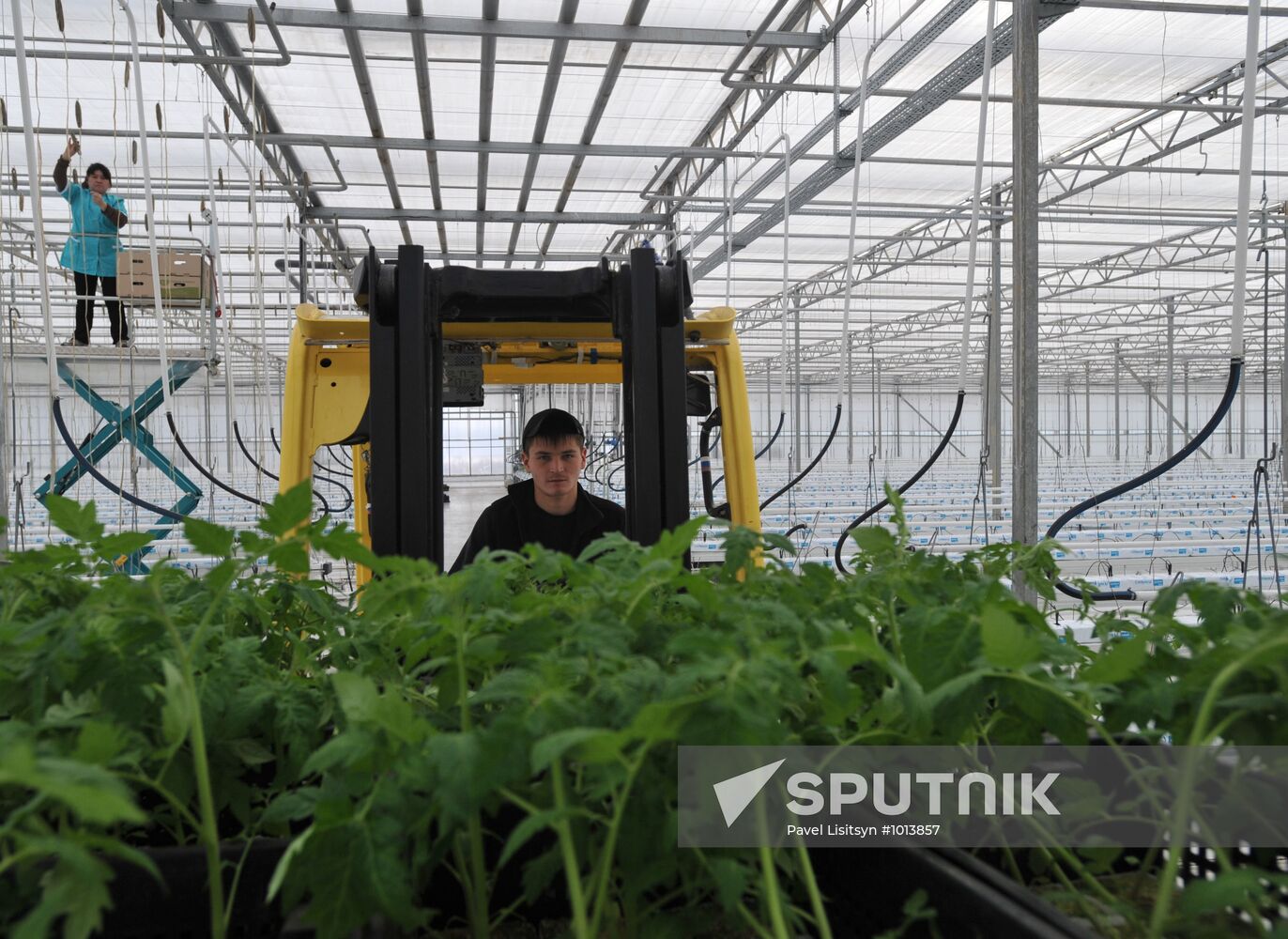 Teplichnoye factory farm in Sverdlovsk Region in operation