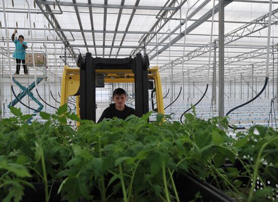 Teplichnoye factory farm in Sverdlovsk Region in operation