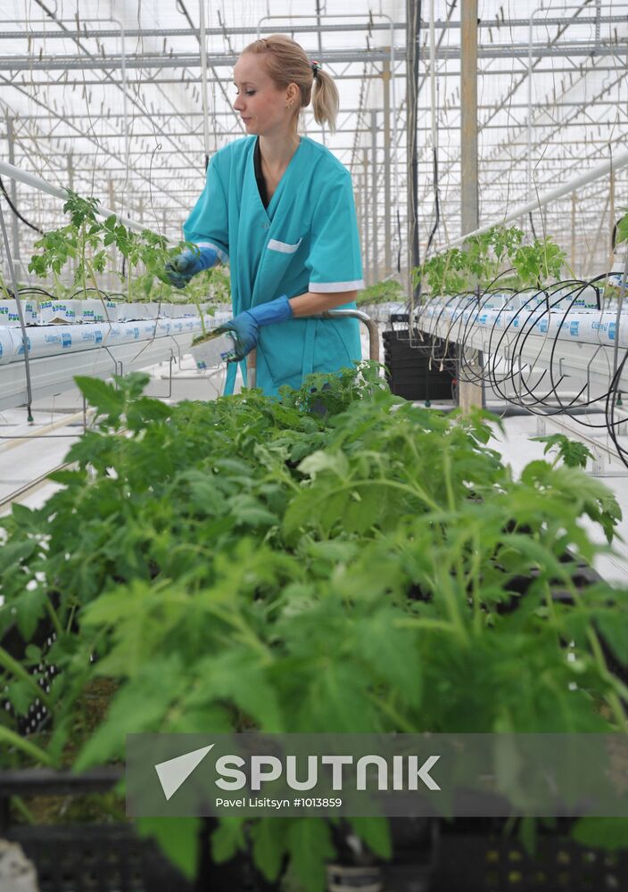 Teplichnoye factory farm in Sverdlovsk Region in operation