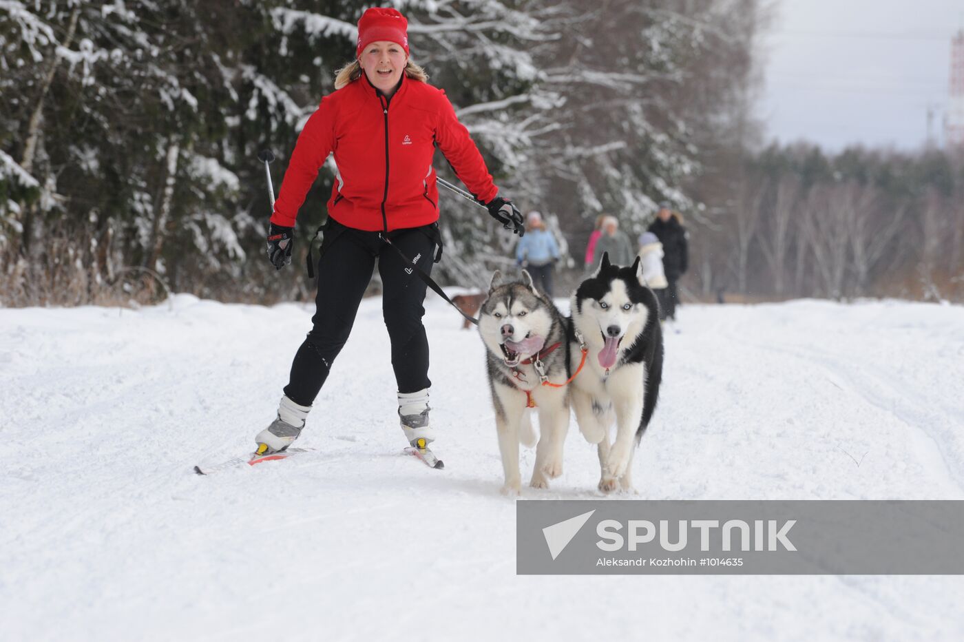 Winter in Moscow Region