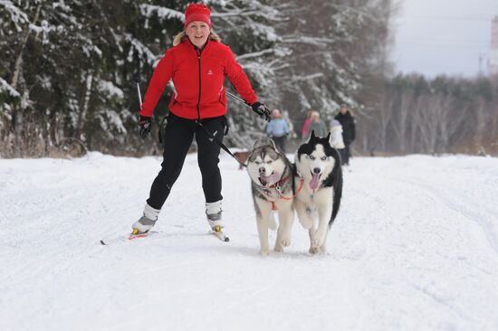 Winter in Moscow Region