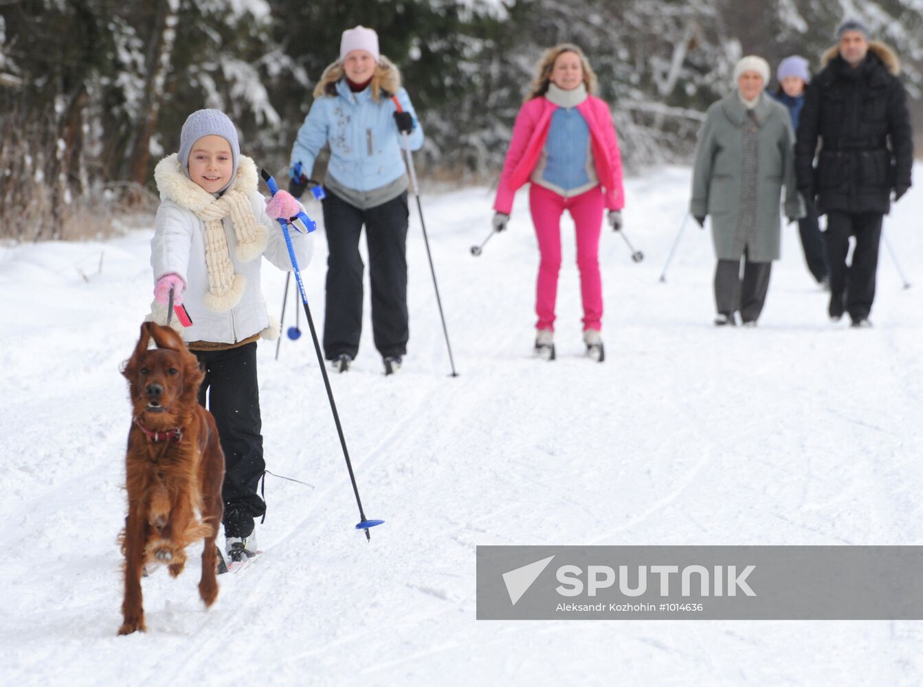 Winter in Moscow Region
