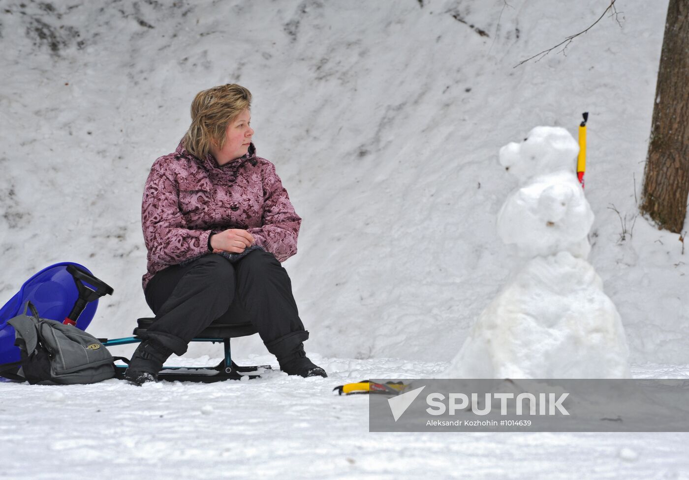 Winter in Moscow Region