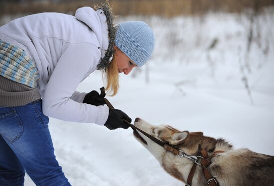 Winter in Moscow Region