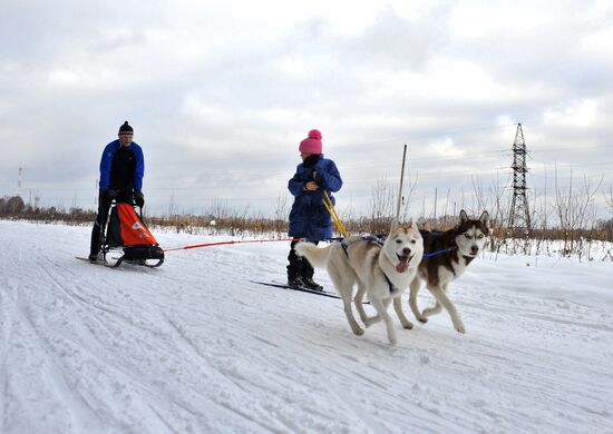Winter in Moscow Region