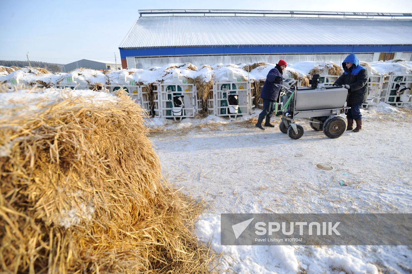 Patrushi agricultural company, Sverdlovsk Region