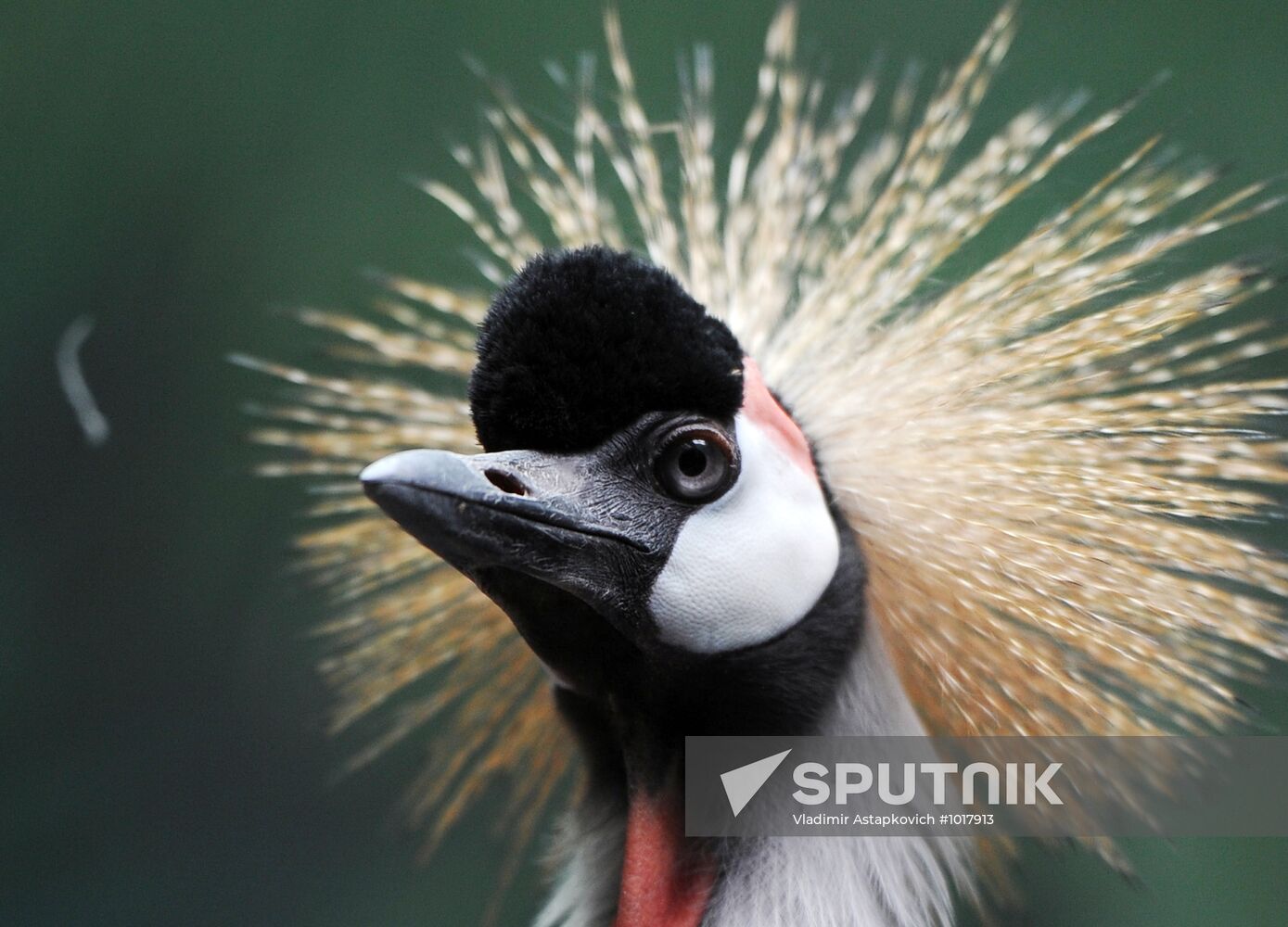 Moscow Zoo