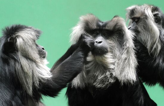 Moscow Zoo