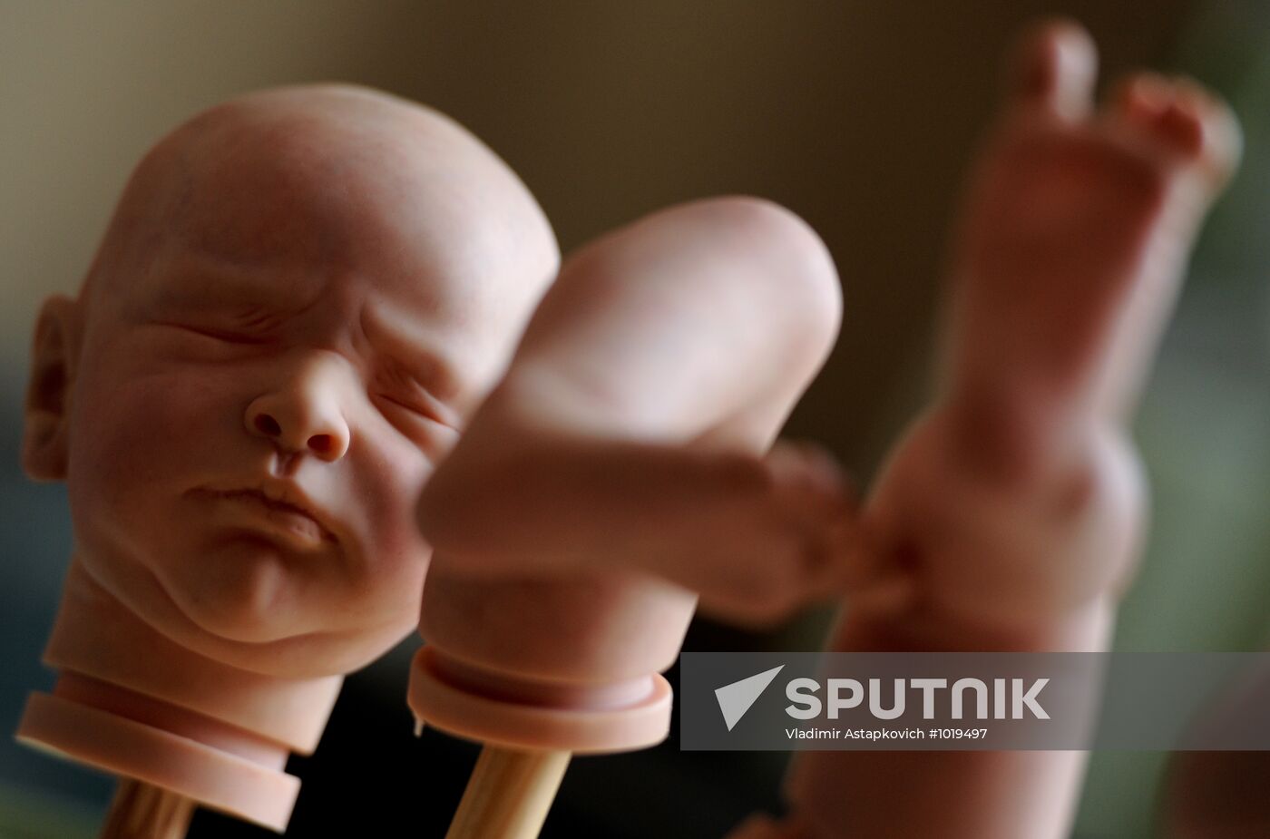 Reborn dolls made by Yekaterina Samgina