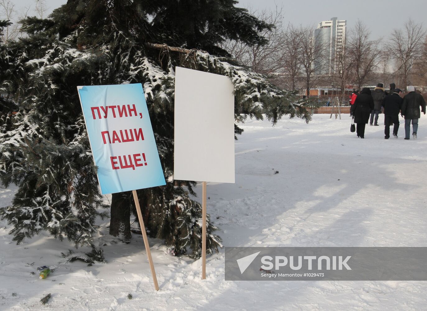 Rally on Poklonnaya Hill