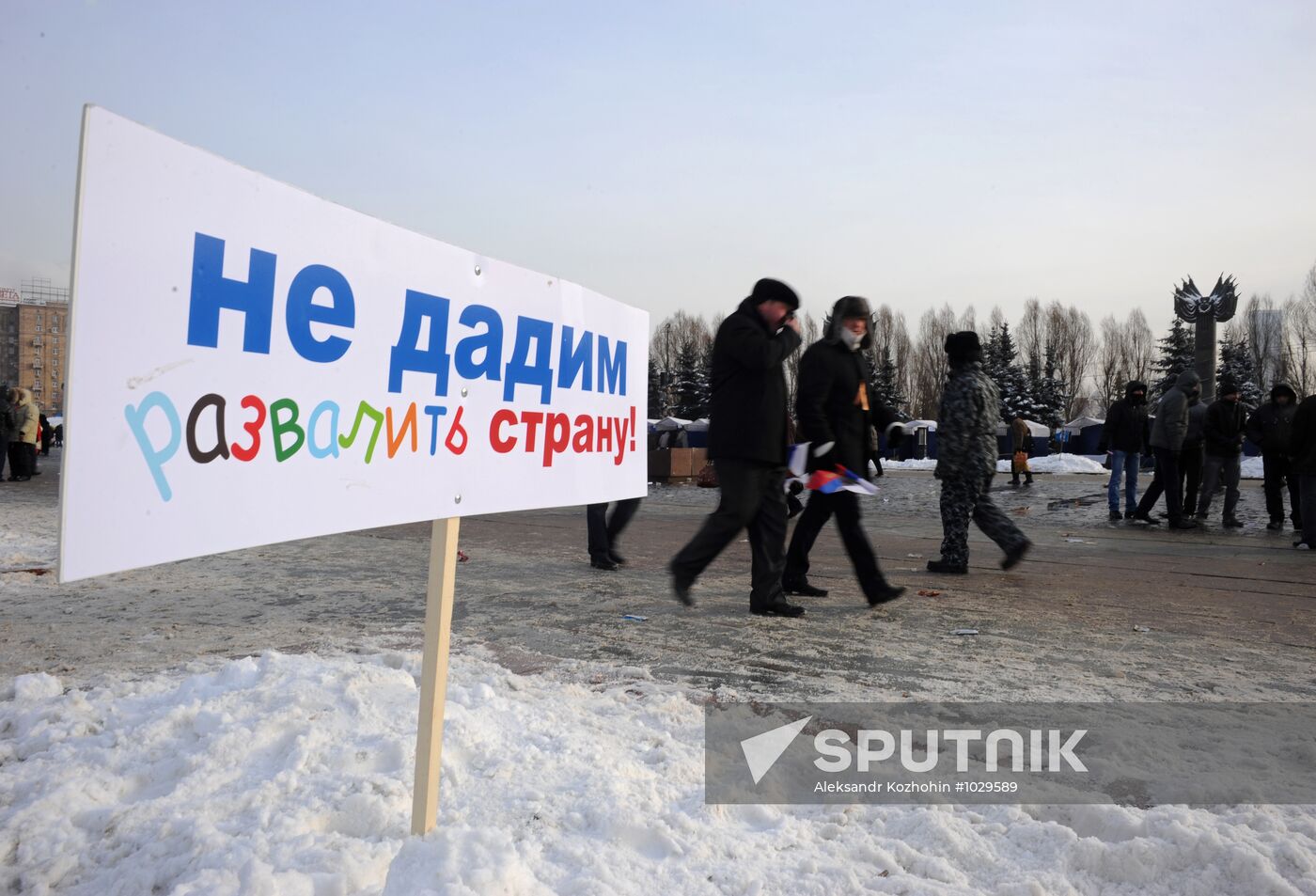 Rally on Poklonnaya Hill