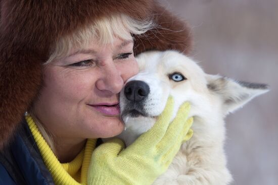 "Siberian Fang" nursery for Kamchatka sledge dogs