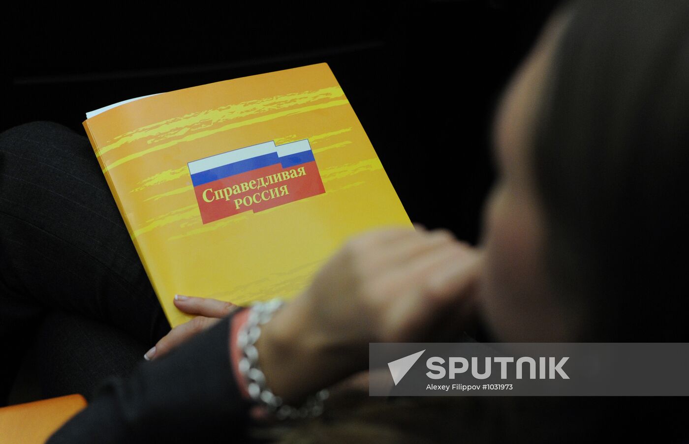 Sergei Mironov meets with authorized representatives