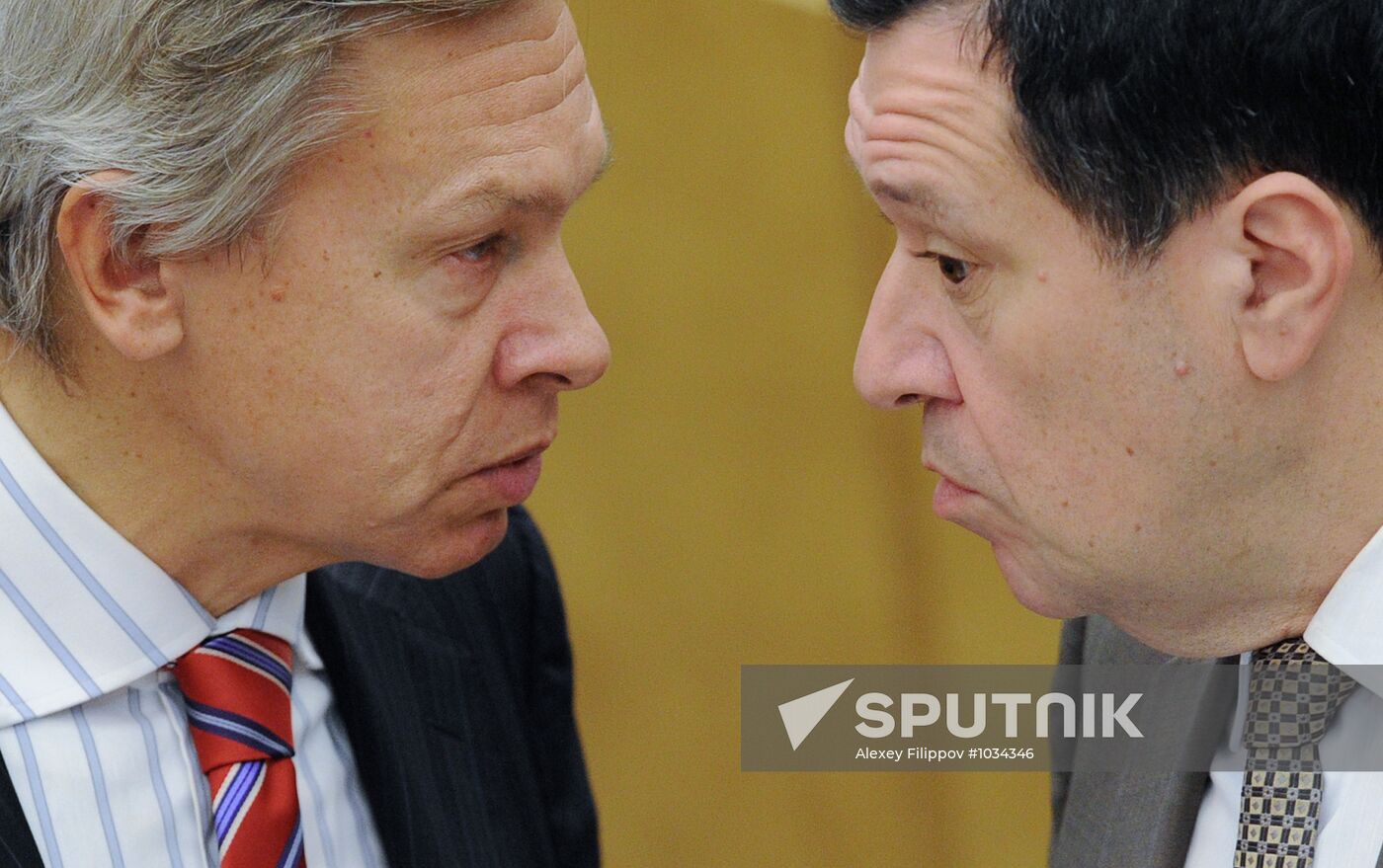 State Duma plenary session