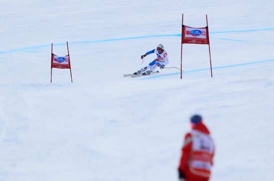 Alpine Skiing. FSI Ski World Cup. Men's downhill