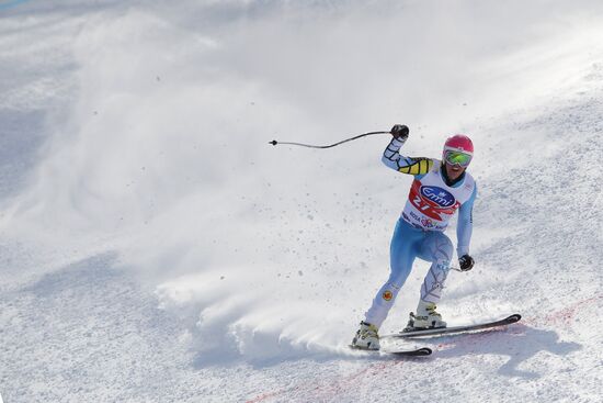 Alpine Skiing. FSI Ski World Cup. Men's downhill